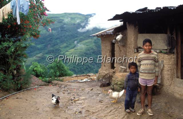 yungas bolivie  19.JPG - Enfants Morenos (Noirs)TocanaYungas de Bolivie